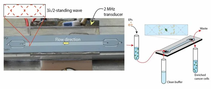 Schematic of experimental set-up. Photo/illustration.